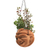 Coconut shell hanging planter, 'Wink' - Artisan Crafted Coconut Shell Planter