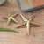 Brass decor accents, 'Marine Starfish' (pair) - Cast Brass Starfish Figurines (Pair)