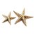 Brass decor accents, 'Marine Starfish' (pair) - Cast Brass Starfish Figurines (Pair)