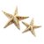 Brass decor accents, 'Marine Starfish' (pair) - Cast Brass Starfish Figurines (Pair)