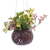Coconut shell hanging planter, 'Tropical House in Bloom' - Artisan Crafted Coconut Shell Hanging Planter