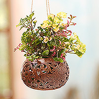 Coconut shell hanging planter, Tropical House in Butterfly