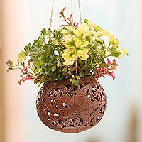 Coconut shell hanging planter, Tropical House in Turtle