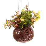 Coconut shell hanging planter, 'Tropical House in Turtle' - Handcrafted Coconut Shell Hanging Planter from Bali