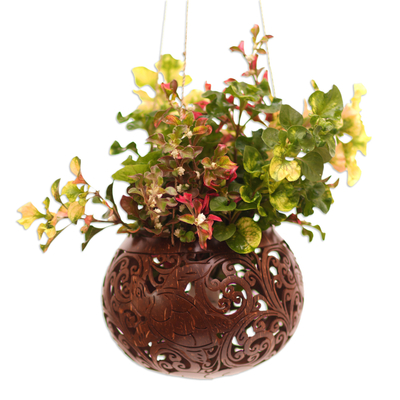 Coconut shell hanging planter, 'Tropical House in Turtle' - Handcrafted Coconut Shell Hanging Planter from Bali