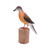 Wood statuette, 'Passenger Pigeon' - Hand Crafted Suar Wood Pigeon Statuette