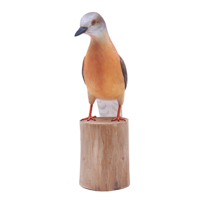 Wood statuette, 'Passenger Pigeon' - Hand Crafted Suar Wood Pigeon Statuette