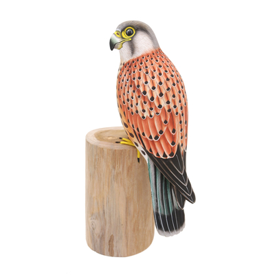 Wood statuette, 'Common Kestrel' - Handcrafted Suar Wood Kestrel Statuette