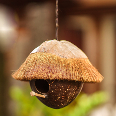 Vogelhaus aus Kokosnussschale, „Twilight House“ – Vogelhaus aus Kokosnussschale und Bambus aus Bali