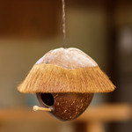 Coconut shell birdhouse, 'Twilight House' - Coconut Shell and Bamboo Birdhouse from Bali