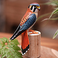 Featured review for Wood sculpture, American Kestrel