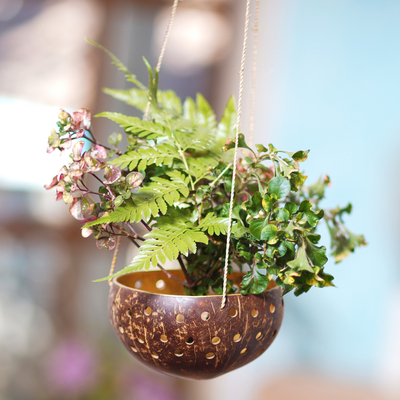 Coconut shell hanging planter, 'Well Drained' - Artisan Crafted Coconut Shell Hanging Planter from Bali