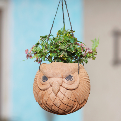Coconut shell hanging planter, 'True Owl' - Handmade Natural Coconut Shell Hanging Planter from Bali