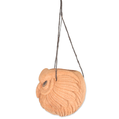 Coconut shell hanging planter, 'True Owl' - Handmade Natural Coconut Shell Hanging Planter from Bali
