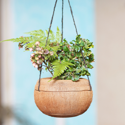 Hanging Coconut Shell Planter from Bali, 'Greenery Galore