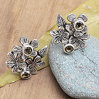 Citrine button earrings, 'Blooms in Winter' - Sterling Silver Button Earrings with Citrine Stones