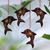 Wood ornaments, 'Morning Dolphins' (Set of 4) - Set of 4 Handmade Mahogany Wood Dolphin Ornaments from Bali