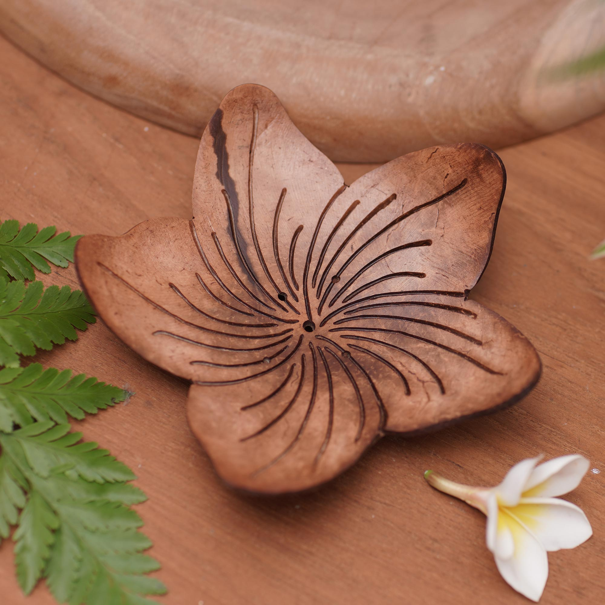 Balinese Handmade Water Draining Coconut Shell Soap Dish - Butterfly T –  GlobeIn