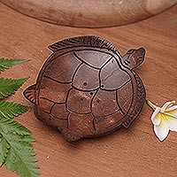 Coconut shell soap dish, 'Spotless Shell' - Artisan Carved Turtle-Themed Coconut Soap Holder from Bali
