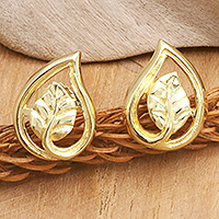 Gold-plated button earrings, 'Forest Spark' - 18k Gold-Plated Button Earrings with Leafy Motifs