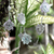 Aluminum garland, 'Wise Shells' - Handcrafted Aluminum Garland with Embossed Turtles