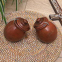 Juego de sal y pimienta de cerámica - Juego de salero y pimentero de cerámica marrón hecho a mano