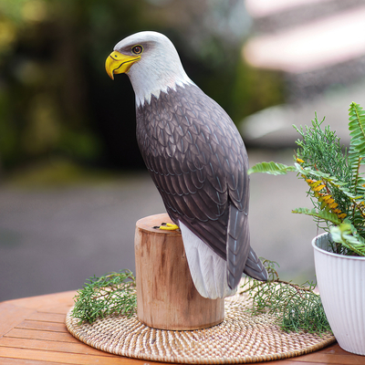 Wood sculpture, 'Iconic Bald Eagle' - Suar and Teak Wood Eagle Sculpture Hand-Carved in Indonesia