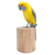 Wood sculpture, 'Yellow Rosella' - Suar and Teak Wood Bird Sculpture Hand-Carved in Indonesia
