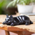 Escultura de madera - Cachorro dormilón tallado a mano en madera de suar negro