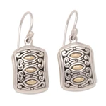 Gold-accented dangle earrings, 'Divine Glances' - Traditional 18k Gold-Accented Dangle Earrings from Bali