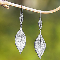 Sterling silver dangle earrings, 'Ethereal Foliage' - Leafy Sterling Silver Dangle Earrings Crafted in Bali