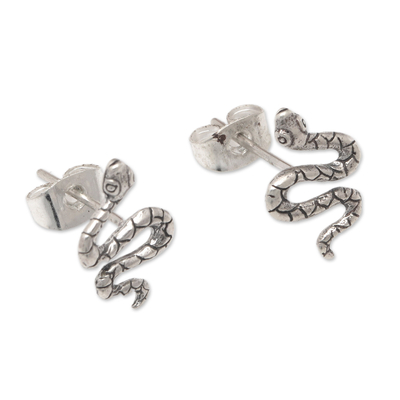 Sterling silver button earrings, 'Snake Prodigy' - Polished Snake-Shaped Sterling Silver Button Earrings