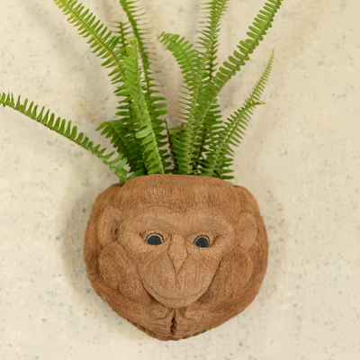 Jardinera de pared de cáscara de coco - Macetero de pared de cáscara de coco tallado a mano con tema de mono