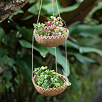 Coconut shell hanging planter, 'Natural Prosperity' - Handcrafted Coconut Shell Hanging Planter in a Natural Hue