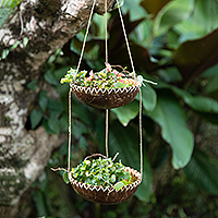 Coconut shell hanging planter, 'Coconut Prosperity' - Handcrafted Coconut Shell Hanging Planter in a Dark Hue