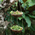 Coconut shell hanging planter, 'Coconut Prosperity' - Handcrafted Coconut Shell Hanging Planter in a Dark Hue