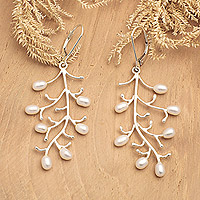 Cultured pearl dangle earrings, 'Snowberry' - High-Polished Dangle Earrings with Silver-White Pearls