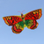 Nylon and bamboo kite, 'Autumnal Butterfly' - Hand-Painted Nylon and Bamboo Vibrant Butterfly Kite