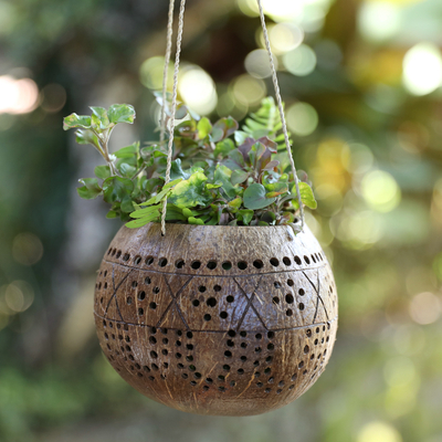 Best & Creative Coconut Shell Gardening Ideas for Home-DIY Coconut Shell  Planter Ideas//GREEN DECOR 