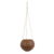 Coconut shell hanging planter, 'Raindrops' - Balinese Hand-Crafted Coconut Shell Hanging Planter