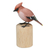 Holzstatuette - Handgeschnitzte, handbemalte Vogelstatuette aus Holz mit Sockel aus Teakholz