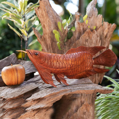 Escultura de madera - Escultura de pez Arowana de madera de suar tallada a mano de Bali