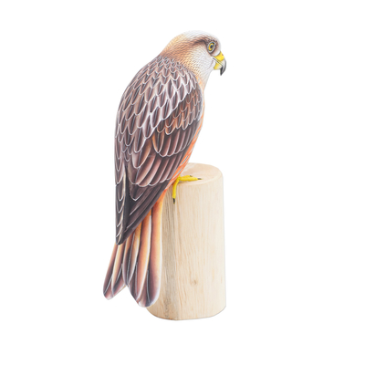 Wood sculpture, 'Eagle Sunrise' - Handcrafted Suar Wood Eagle Sculpture with Albesia Wood Base