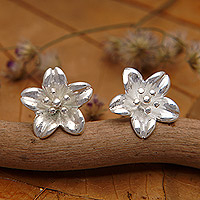 Pendientes de botón de plata de ley, 'Winter Frangipani' - Pendientes de botón de plata de ley florales de alto pulido