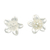 Sterling silver button earrings, 'Winter Frangipani' - High-Polished Floral Sterling Silver Button Earrings