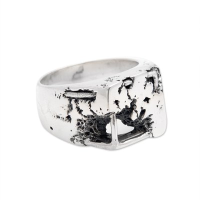 Sterling silver band ring, 'Campuhan Hill' - Polished Modern Unisex Sterling Silver Band Ring from Bali
