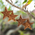 Wood ornaments, 'Hibiscus Grace' (set of 4) - Set of 4 Floral Star-Shaped Suar Wood Ornaments (image 2) thumbail