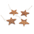 Wood ornaments, 'Hibiscus Grace' (set of 4) - Set of 4 Floral Star-Shaped Suar Wood Ornaments (image 2d) thumbail