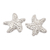 Aretes de plata de ley - Aretes con forma de estrella de mar de plata de ley texturizada de Bali