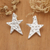 Pendientes colgantes de plata de ley - Pendientes colgantes en forma de estrella con acabado de satén cepillado